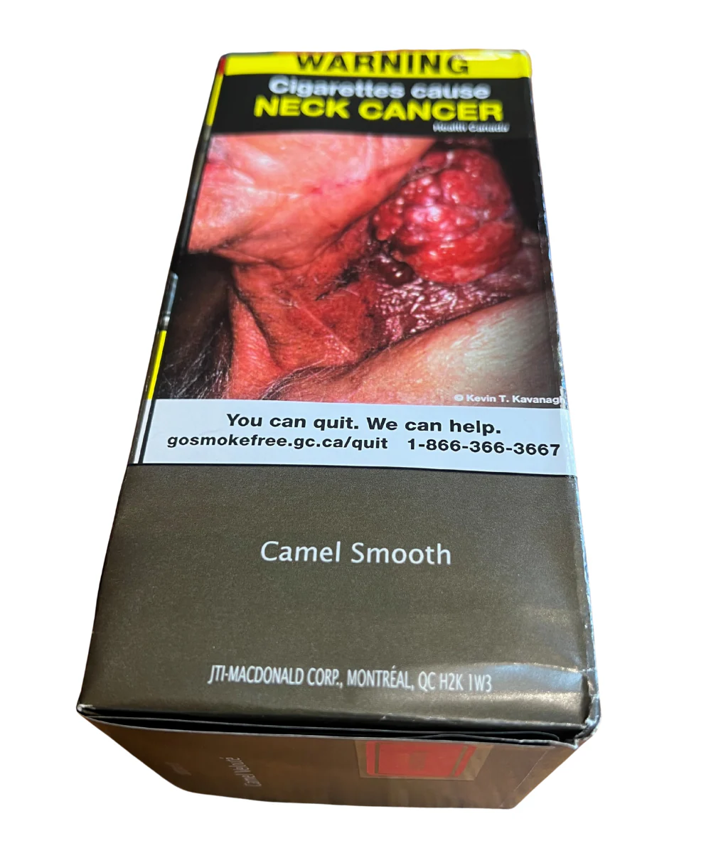 Camel Smooth King Size 20pk Carton